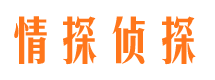 安仁寻人公司